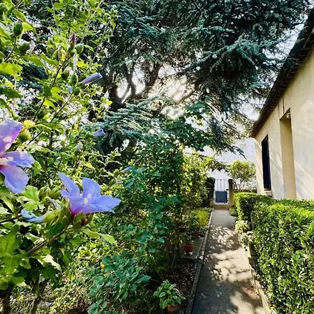 La Maison Des Herissons Tatil Evi *
