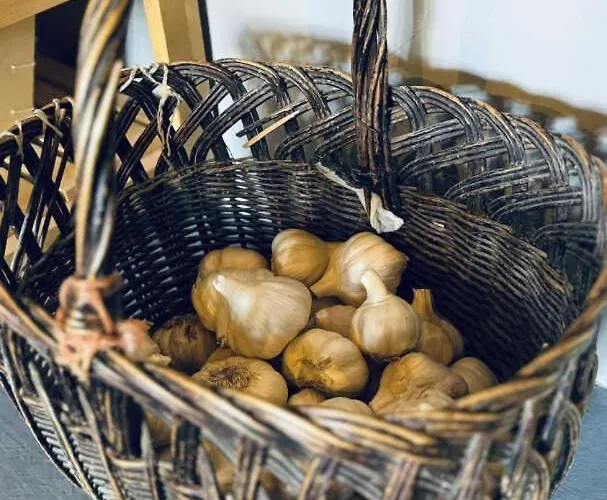 La Maison Des Herissons Holiday home